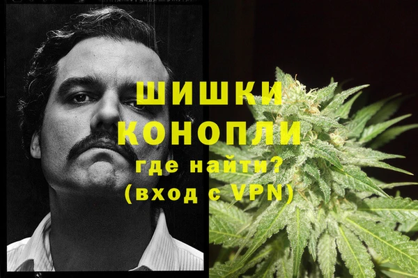 бошки Лиски